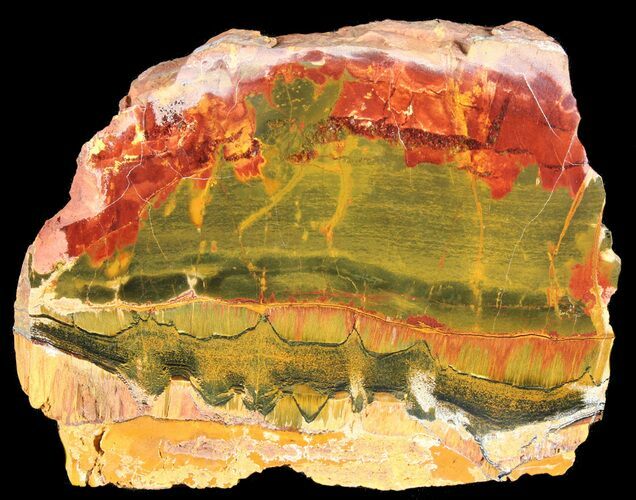 Marra Mamba Stromatolite - Mt Brockman ( Billion Years) #39172